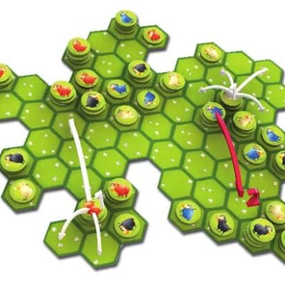 Battle sheep – Image 2