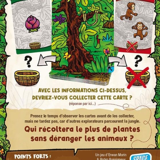 Explorons la Jungle – Image 4