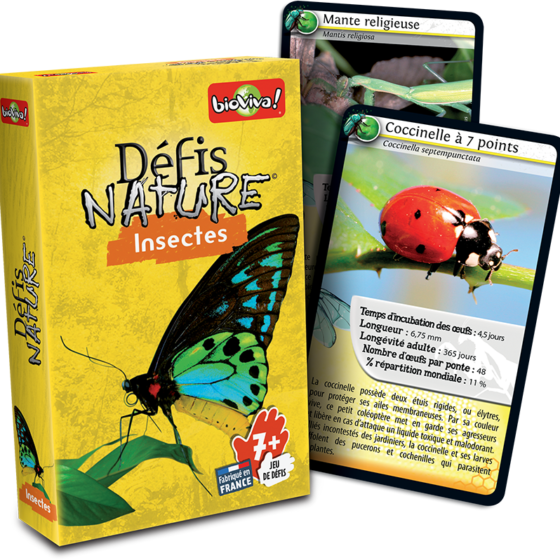 Défis Nature - Insecte – Image 2