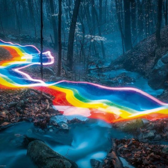 Puzzle Magic Forest - Rainbow Road (1000 pièces) – Image 2